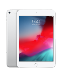 iPad Mini Repairs